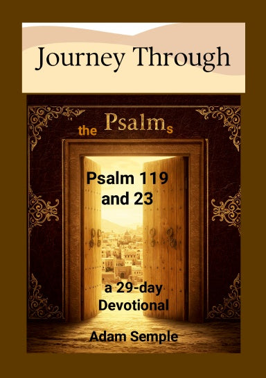 Book Cover Variant Thumbnail